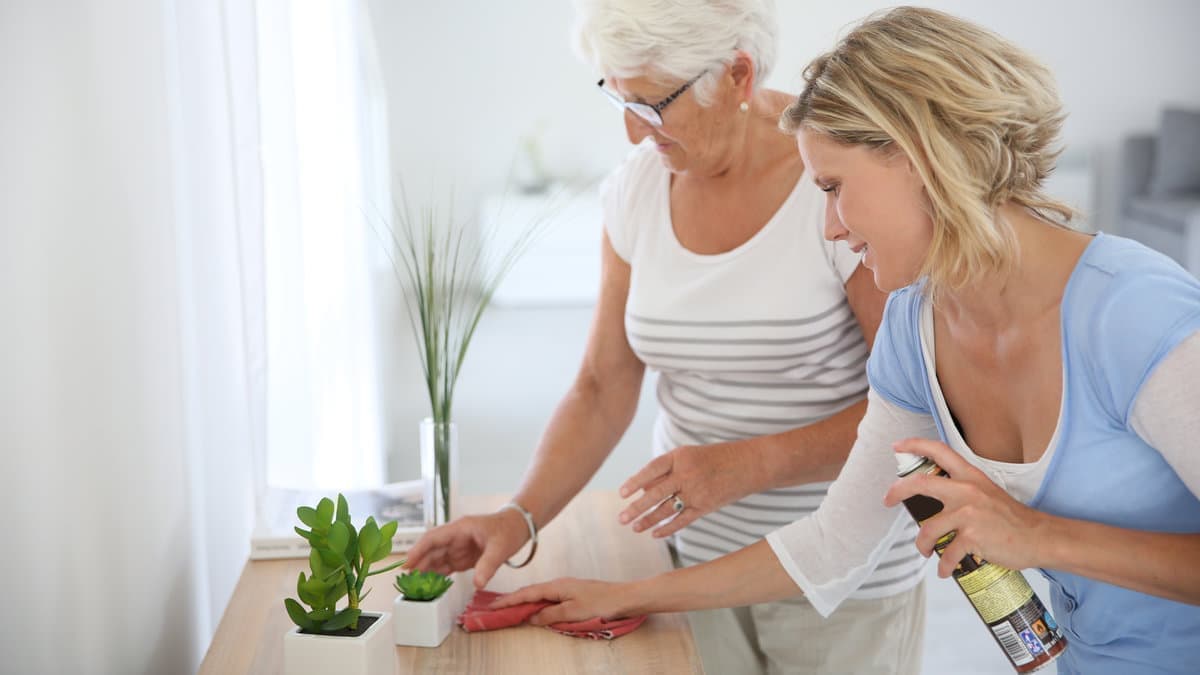 Two women polishing a console table with spray and cloth in a bright home — house cleaning and maid services in Greater Seattle.