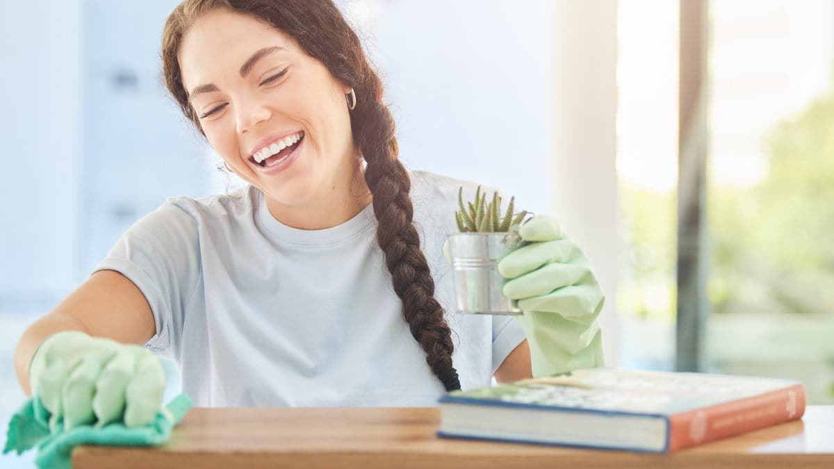 Smiling woman cleaning a countertop, holding a small potted plant, wearing gloves, with a book nearby on a sunny day.