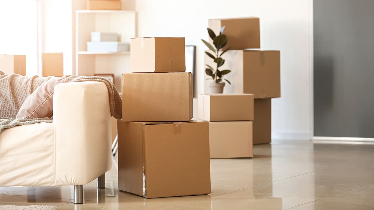 Packed moving boxes in a tidy living room, illustrating move-out preparation and cleaning before leaving a Renton home or rental.